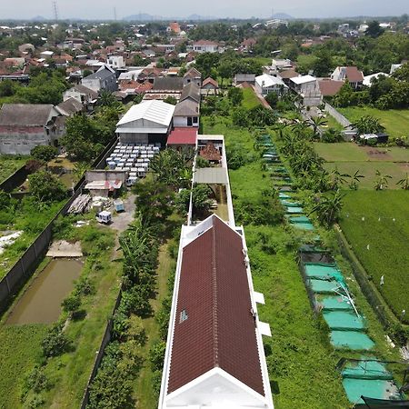 Villa Rumah Putih Jogja Jogyakarta Zewnętrze zdjęcie