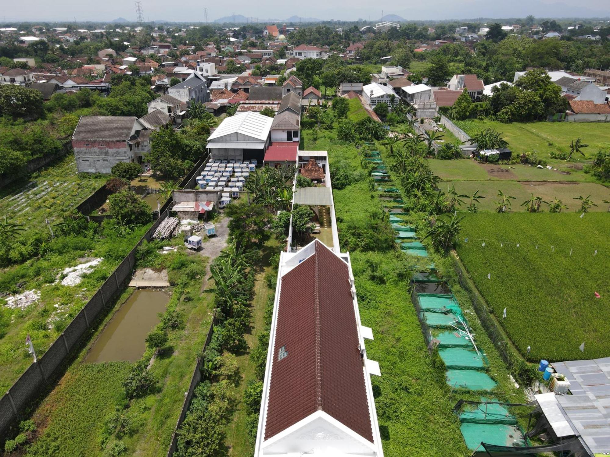 Villa Rumah Putih Jogja Jogyakarta Zewnętrze zdjęcie